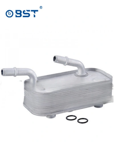 مبرد زيت فتيس - BST - E46-X3