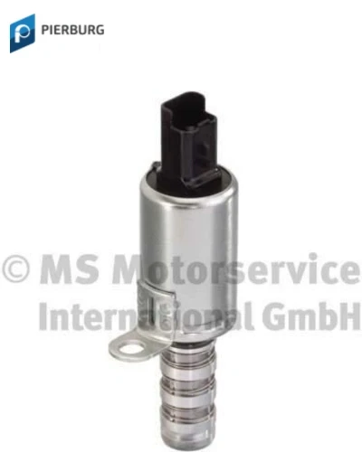 سلونيد فانوس  - بيربرج